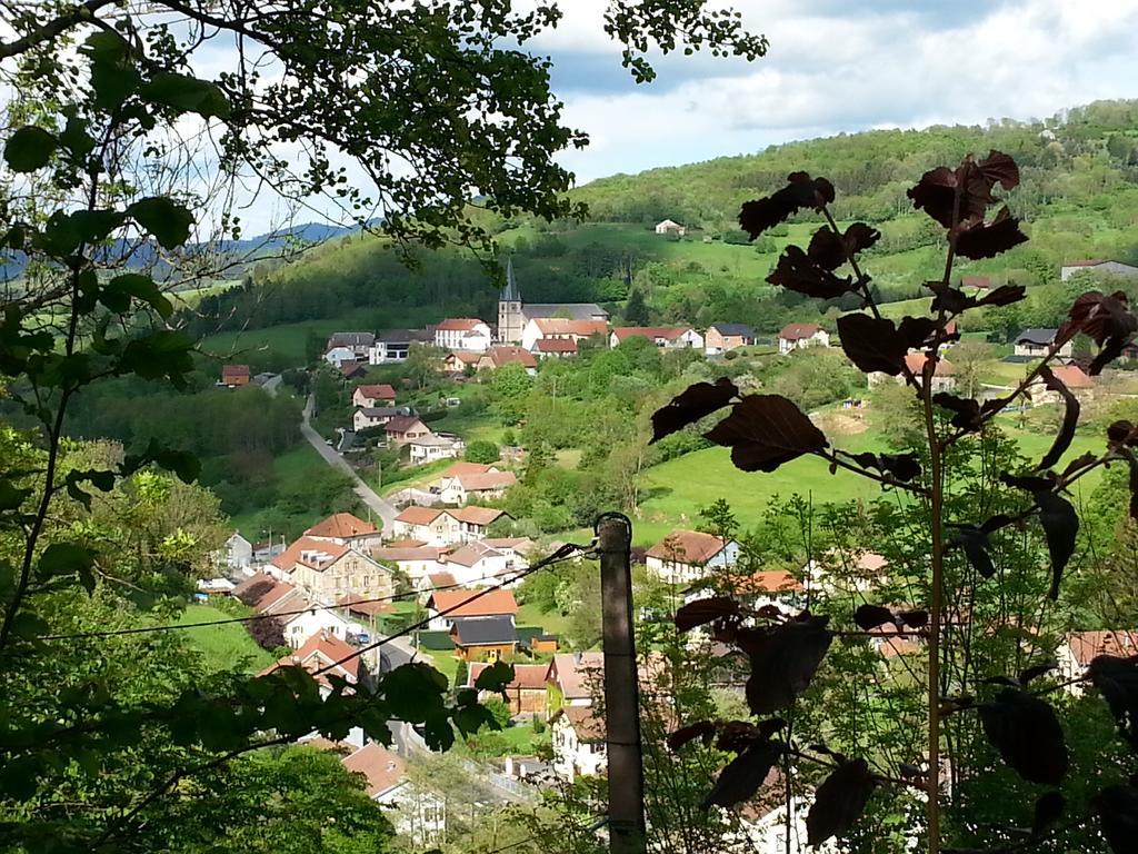 Giteovosges La Croix-aux-Mines Екстериор снимка