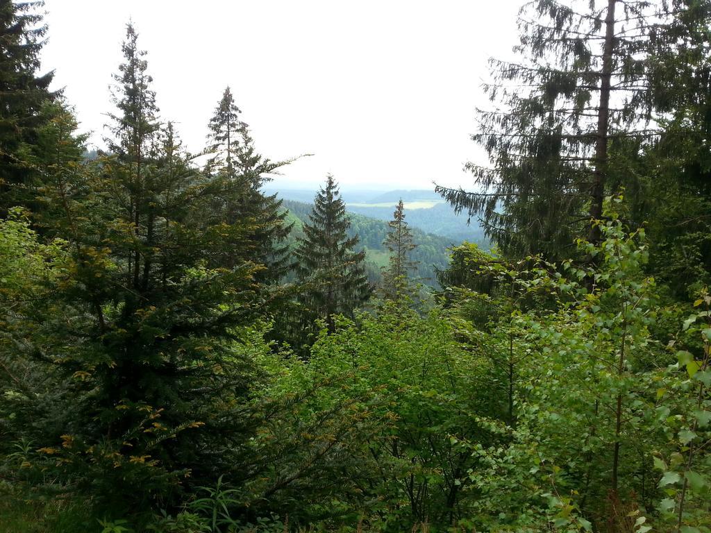 Giteovosges La Croix-aux-Mines Екстериор снимка