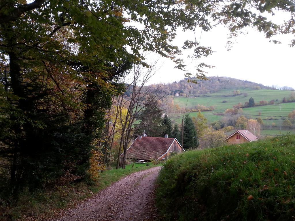 Giteovosges La Croix-aux-Mines Екстериор снимка
