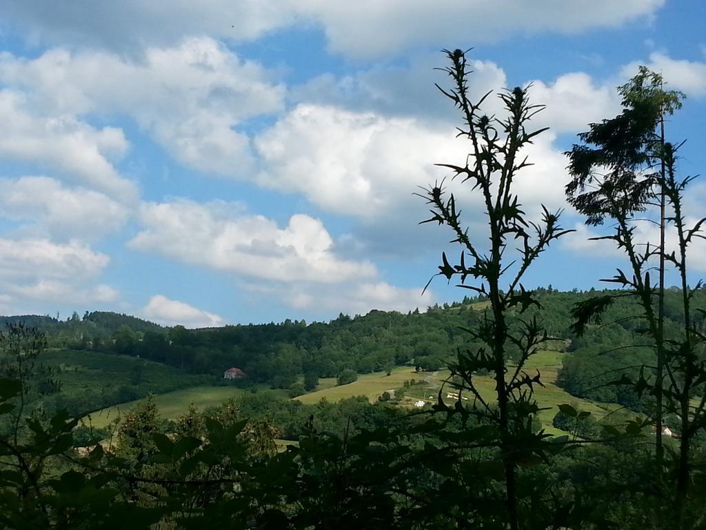 Giteovosges La Croix-aux-Mines Екстериор снимка