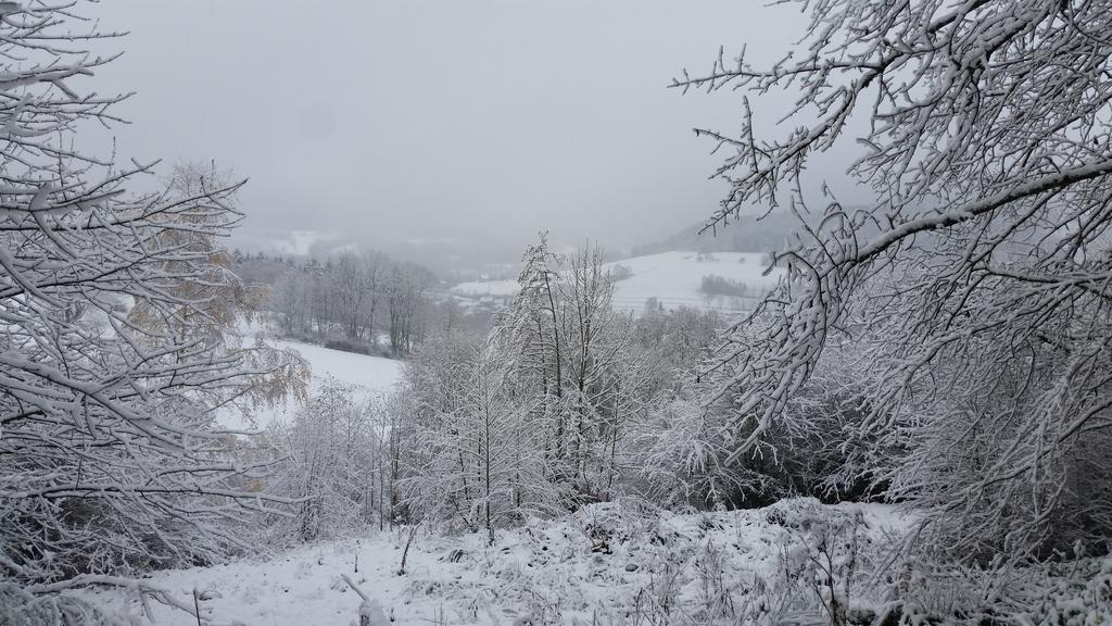 Giteovosges La Croix-aux-Mines Екстериор снимка
